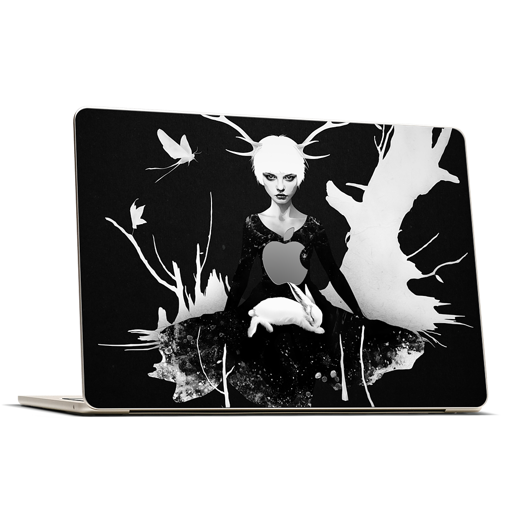 Space Within MacBook Skin