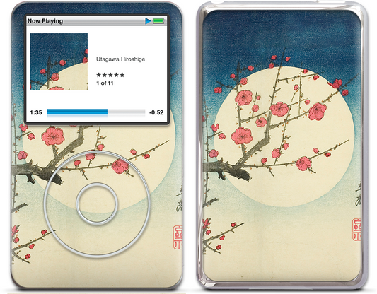 Red Plum Branch iPod Skin