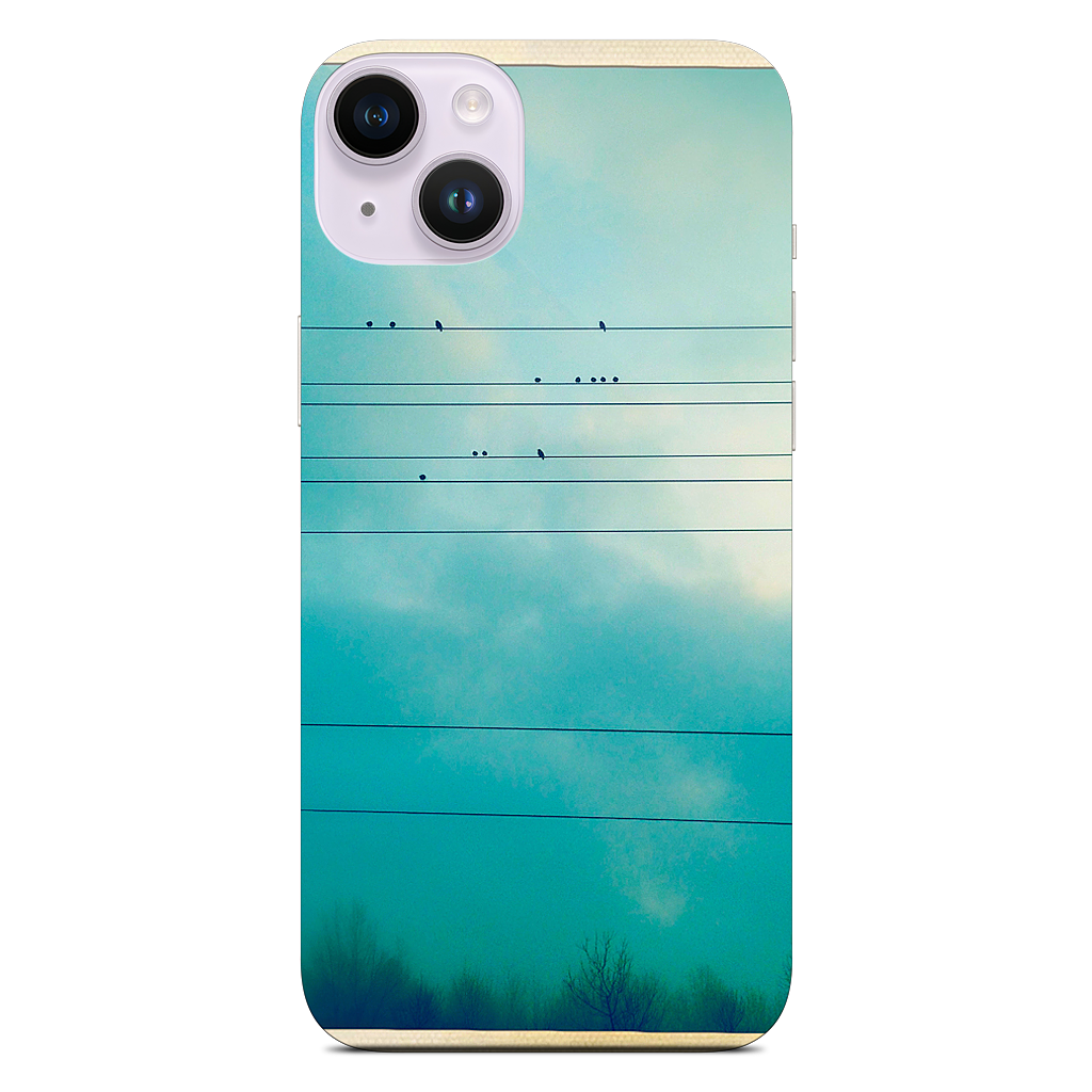 Birds on a wire iPhone Skin