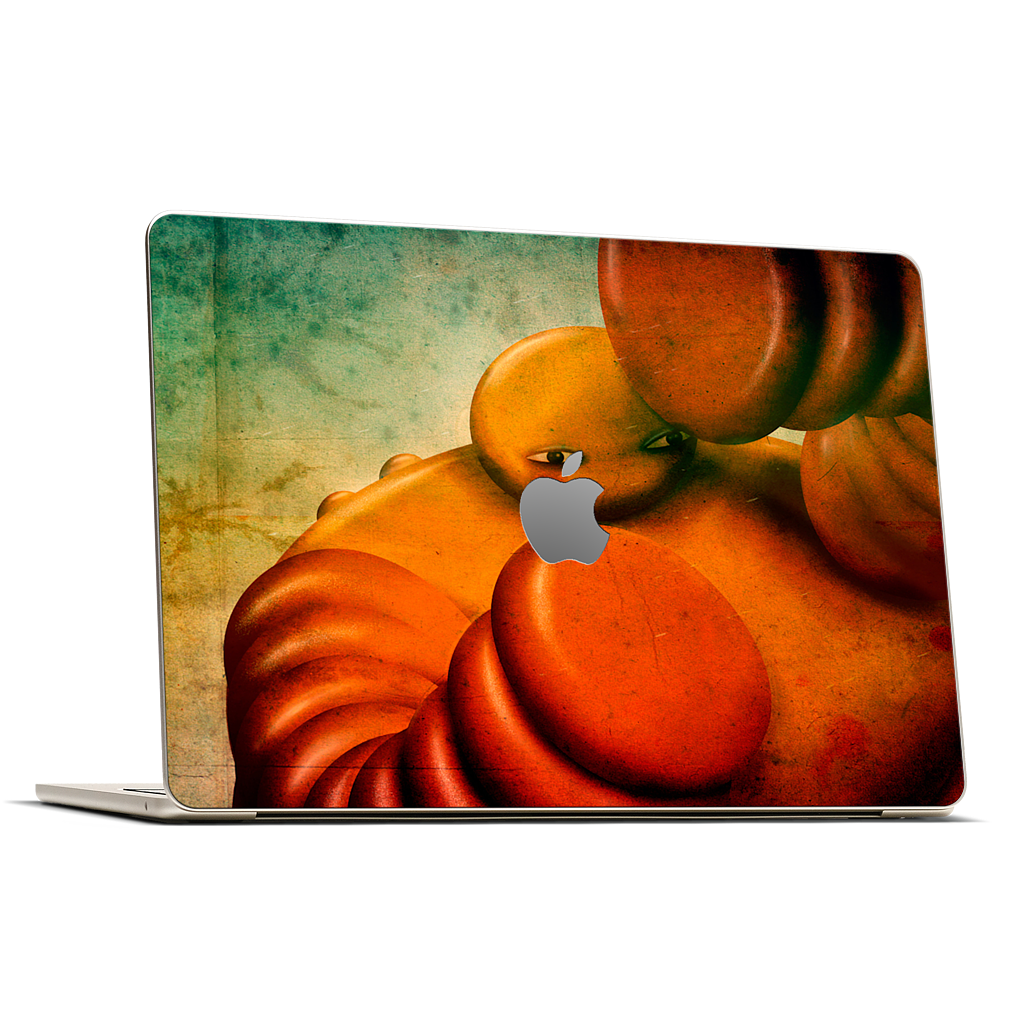 Sun MacBook Skin