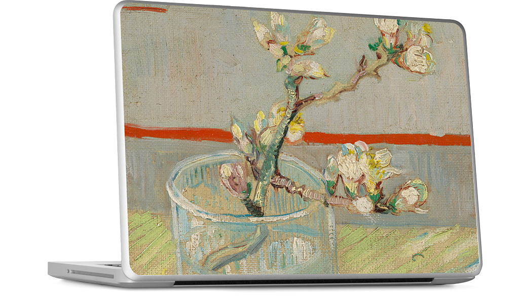 Spring of Flowering Almond in a Glass MacBook Skin