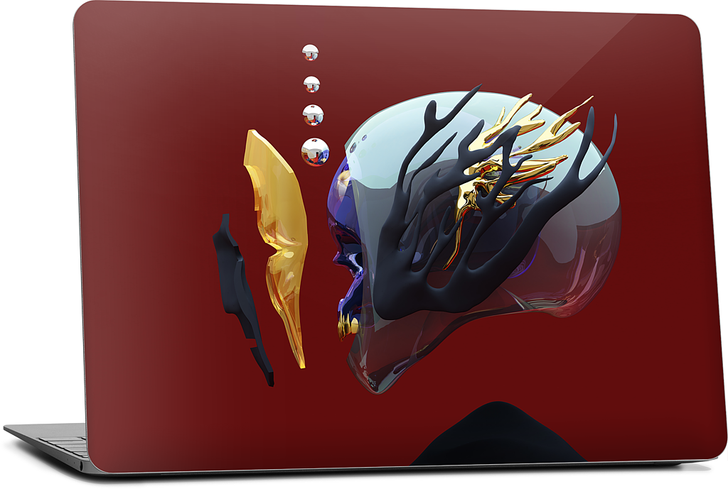 Portrait 043: The Indifference MacBook Skin