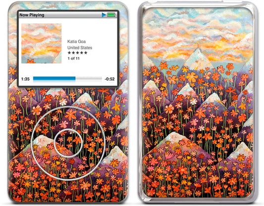 Nice iPod Skin