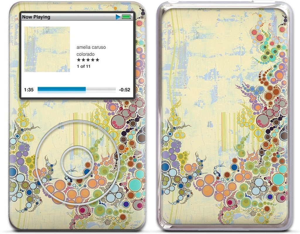 Details of My Life iPod Skin
