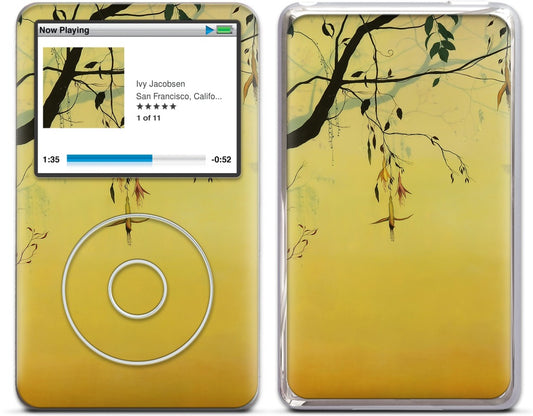 Solstice iPod Skin