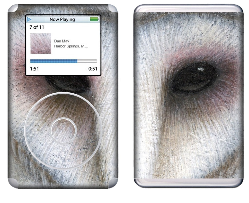 The Watcher iPod Skin
