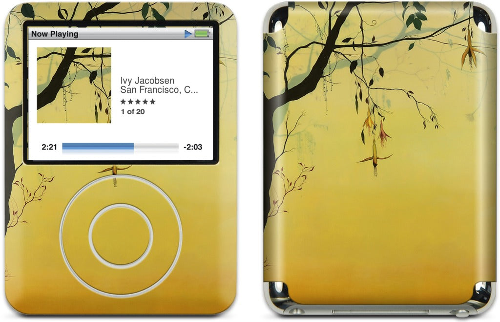 Solstice iPod Skin