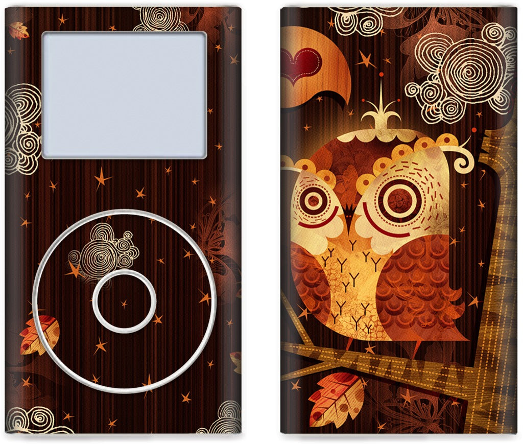 The Enamored Owl iPod Skin