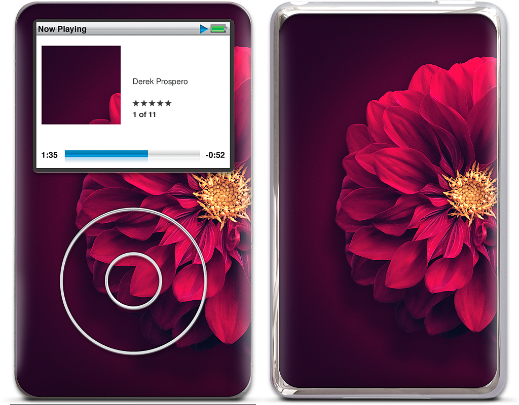 Red Bloom iPod Skin