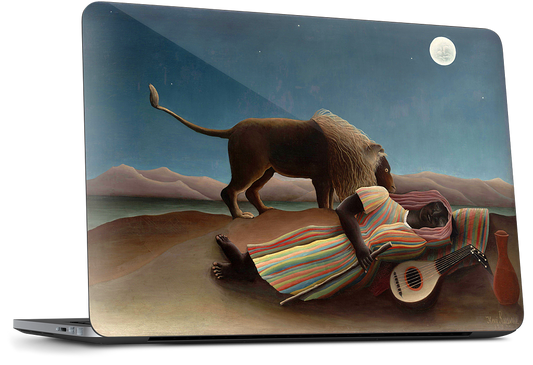 Sleeping Gypsy Dell Laptop Skin