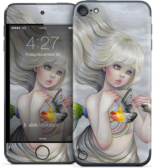 Flocks of Fortune iPod Skin