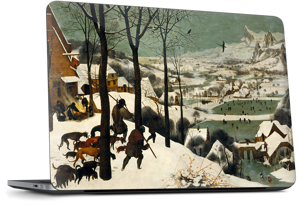 Bruegel's Cases & Skins
