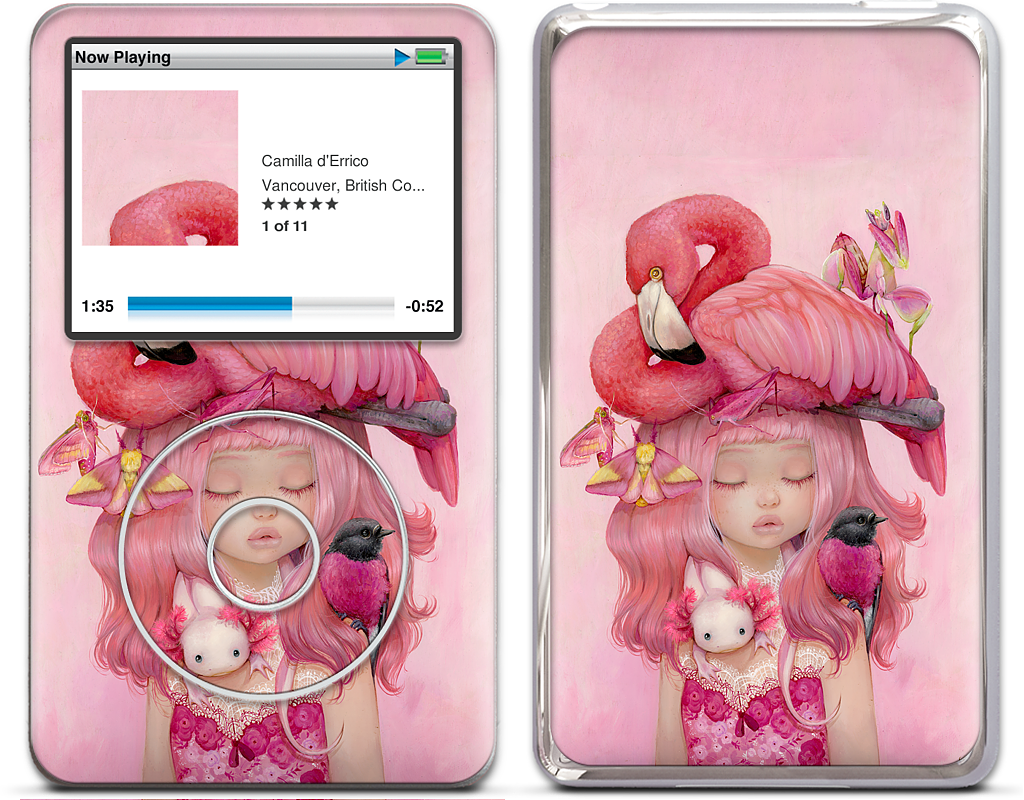 Rosea iPod Skin