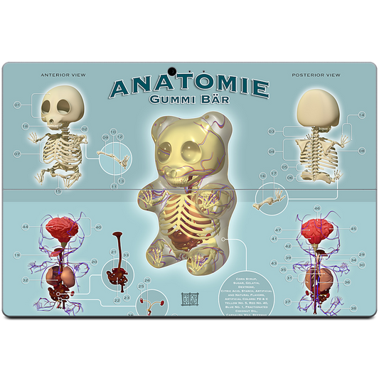 Gummi Anatomie Microsoft Skin