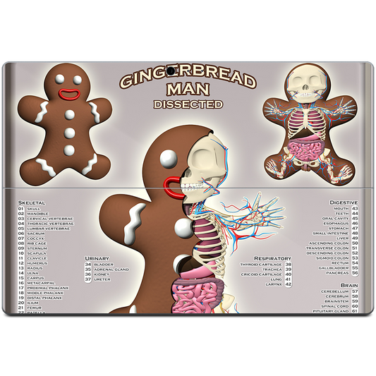 Gingerbread Man Dissected Microsoft Skin