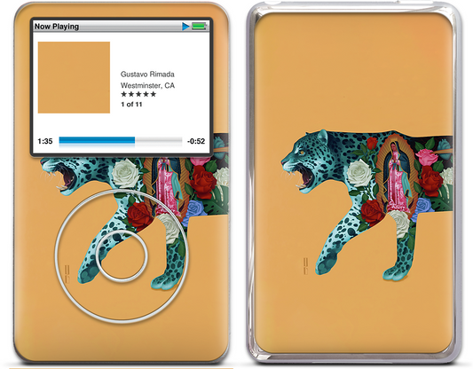 Resiliencia iPod Skin