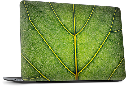 Loose Leaf Microsoft Skin