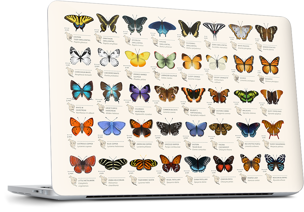 42 North American butterflies Dell Laptop Skin